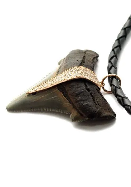 Jacquie Aiche Diamond & Gold Bail on Leather Cord | Shark Tooth Pendant