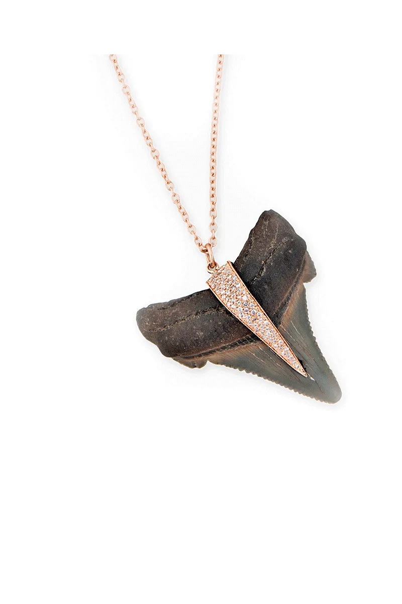 Jacquie Aiche Diamond & Gold Bail on Leather Cord | Shark Tooth Pendant