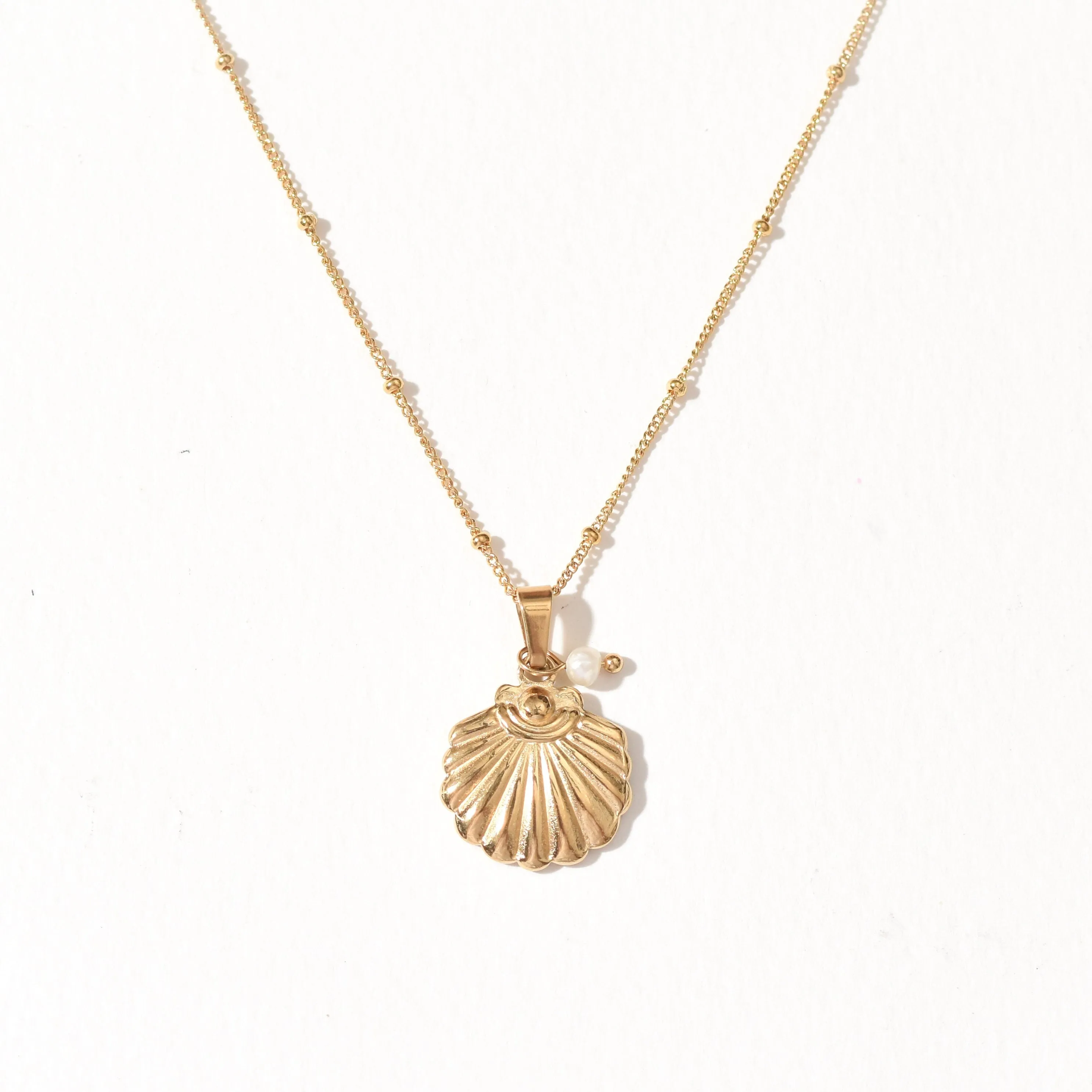 Sea Scallop Necklace