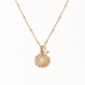 Sea Scallop Necklace